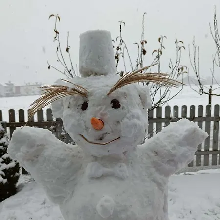 Family & Friends 公寓 布里克森谷地霍普夫加尔滕