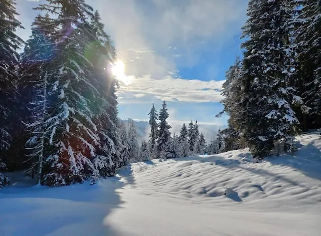 Family & Friends 公寓 布里克森谷地霍普夫加尔滕