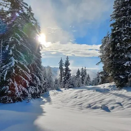 Family & Friends Daire Hopfgarten im Brixental